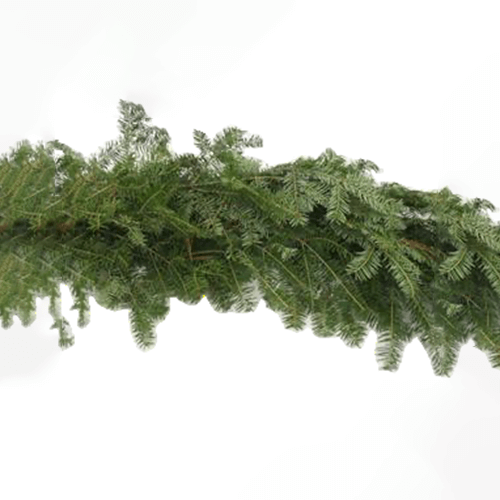 Hand-Tied White Pine Garland | Farm Fresh & Free Delivery Discover our beautiful, hand-tied White Pine Garland, made from freshly harvested North Carolina White Pine boughs, offering a classic Christmas Tree aroma. Premier Christmas Tree Delivery